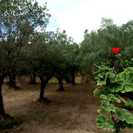 La Tortora פישיאנו