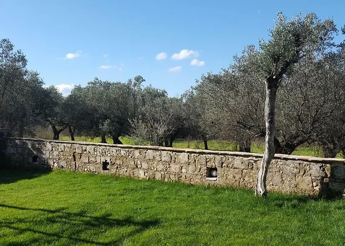 Maison d'hôtes La Tortora *